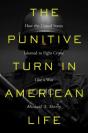 The Punitive Turn In American Life - Preview