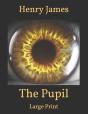 The Pupil - Preview