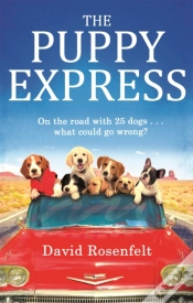 Capa do artigo The Puppy Express