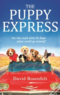Capa do artigo The Puppy Express