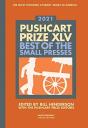 The Pushcart Prize Xlv - Preview