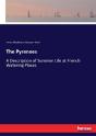 The Pyrenees - Preview