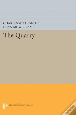 Capa do artigo The Quarry