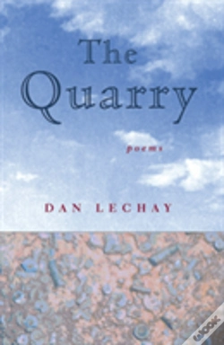 Capa do artigo The Quarry