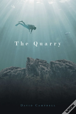 Capa do artigo The Quarry