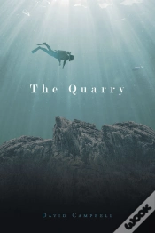 Capa do artigo The Quarry