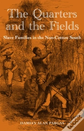 Capa do artigo The Quarters And The Fields