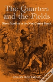 Capa do artigo The Quarters And The Fields