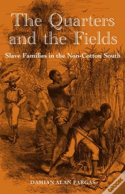 Capa do artigo The Quarters And The Fields