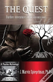 Capa do artigo The Quest