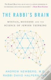 Capa do artigo The Rabbis Brain