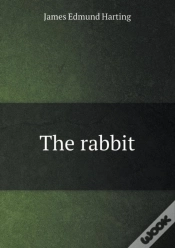 Capa do artigo The Rabbit