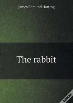 Capa do artigo The Rabbit