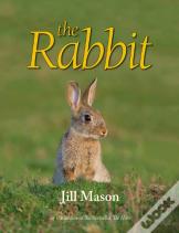 The Rabbit