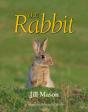 The Rabbit - Preview