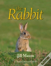 Capa do artigo The Rabbit