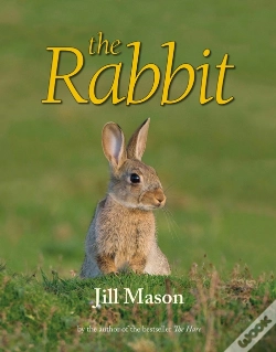 Capa do artigo The Rabbit