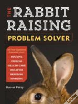 Capa do artigo The Rabbit-Raising Problem Solver