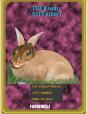 The Rabbit Says Ribbit - Preview