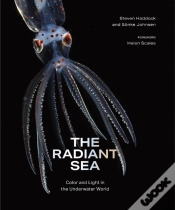 Capa do artigo The Radiant Sea