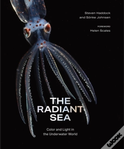 Capa do artigo The Radiant Sea