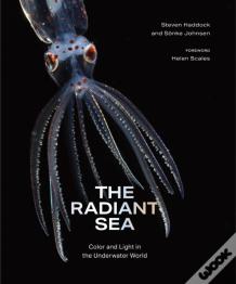 The Radiant Sea