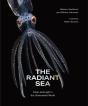 The Radiant Sea - Preview