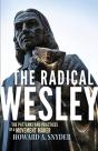 The Radical Wesley - Preview