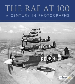 Capa do artigo The Raf At 100