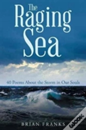 Capa do artigo The Raging Sea