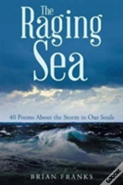 Capa do artigo The Raging Sea