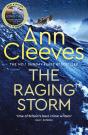 The Raging Storm - Preview