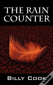 Capa do artigo The Rain Counter