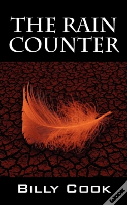 Capa do artigo The Rain Counter