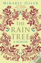 Capa do artigo The Rain Tree