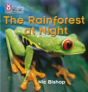 The Rainforest At Night - Preview