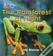 Capa do artigo The Rainforest At Night
