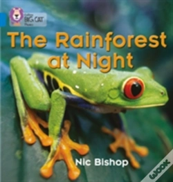 Capa do artigo The Rainforest At Night
