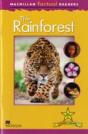 The Rainforest - Preview
