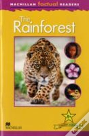 Capa do artigo The Rainforest