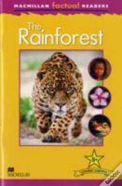 Capa do artigo The Rainforest