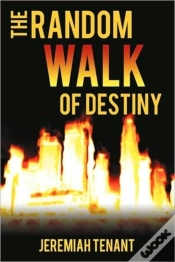 Capa do artigo The Random Walk Of Destiny