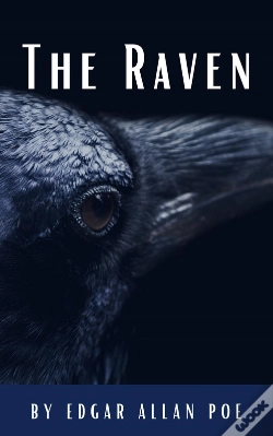 Capa do artigo The Raven