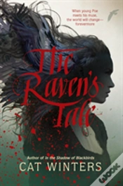Capa do artigo The Raven