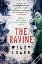 Capa do artigo The Ravine