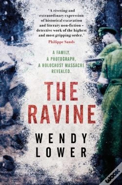 Capa do artigo The Ravine