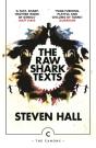 The Raw Shark Texts - Preview