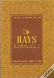 Capa do artigo The Rays