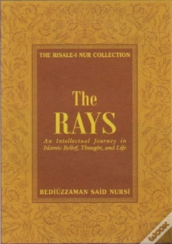 Capa do artigo The Rays