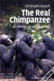 Capa do artigo The Real Chimpanzee